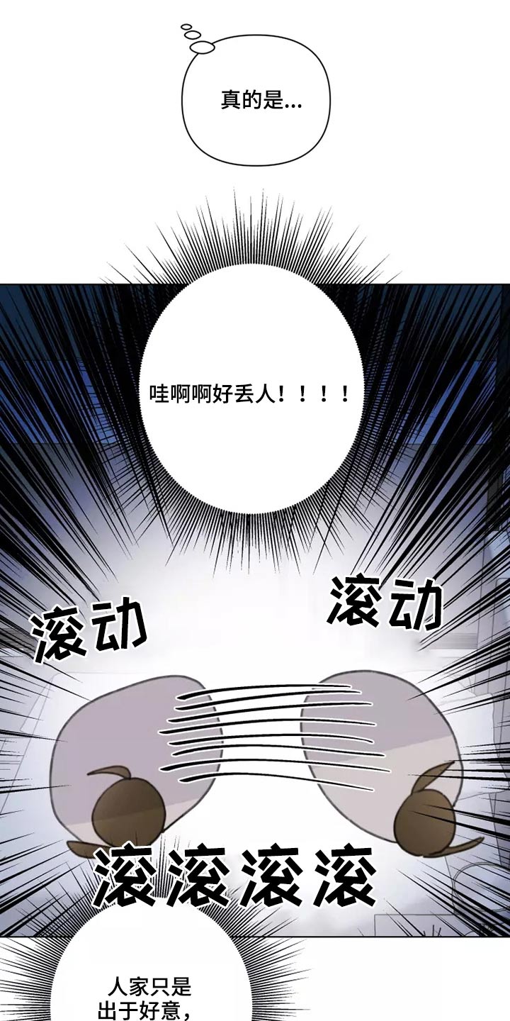 《浪漫的青春》第29章熟悉 第10页