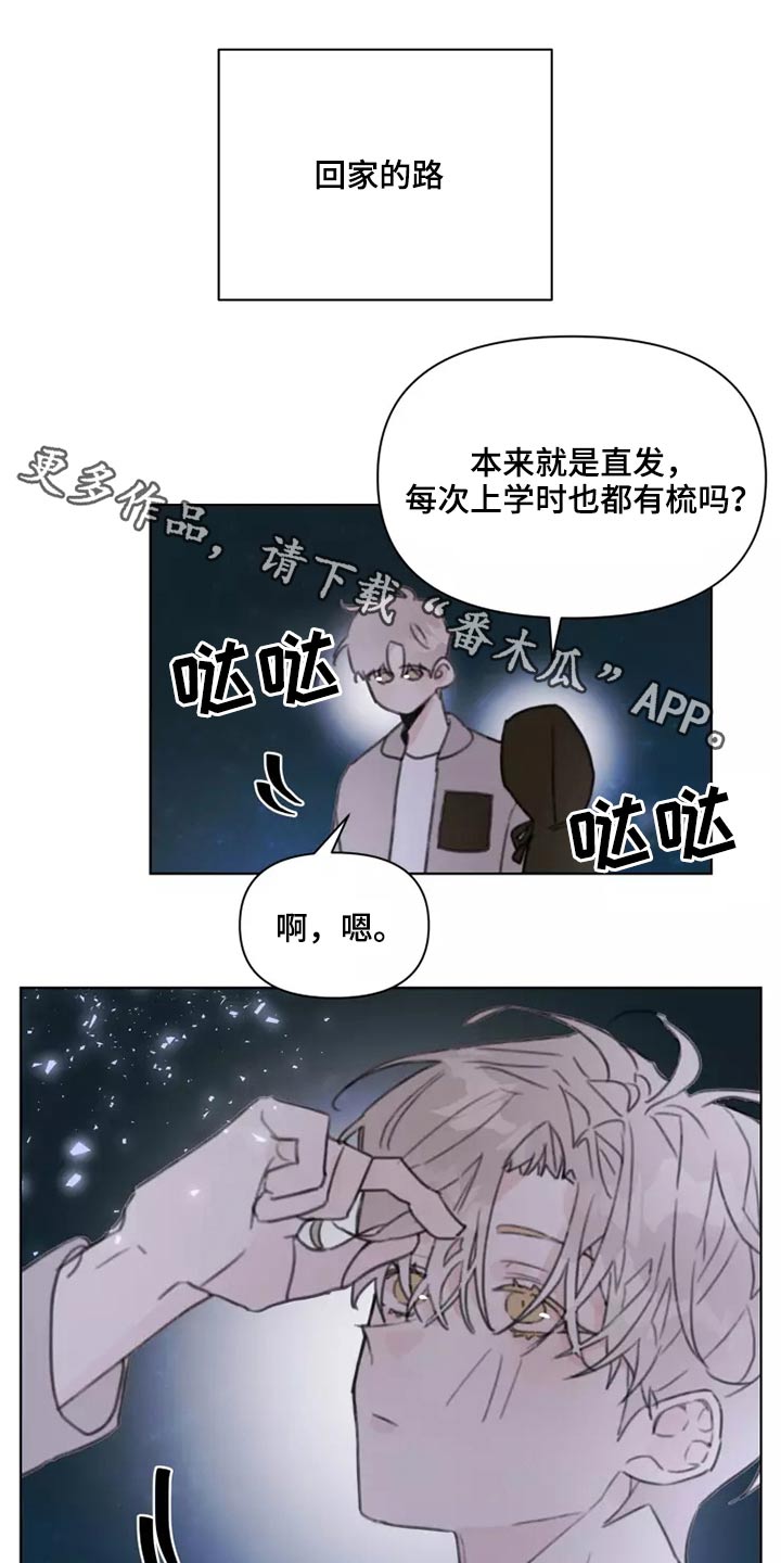《浪漫的青春》第29章熟悉 第1页