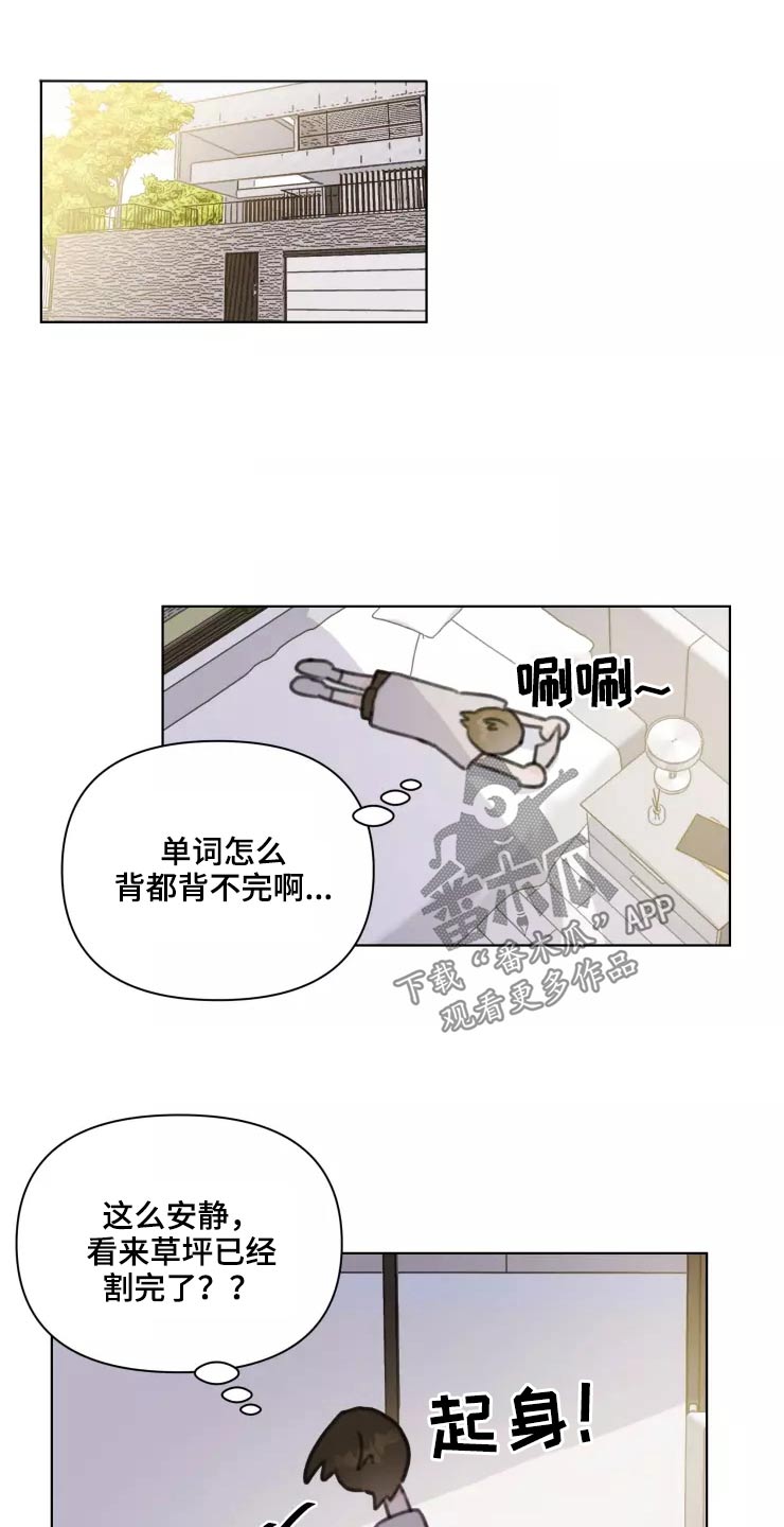 《浪漫的青春》第31章不再理会 第13页