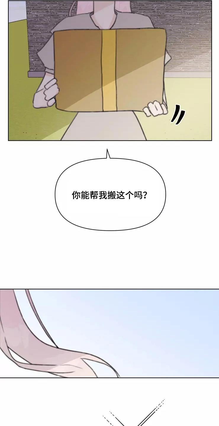 《浪漫的青春》第31章不再理会 第8页