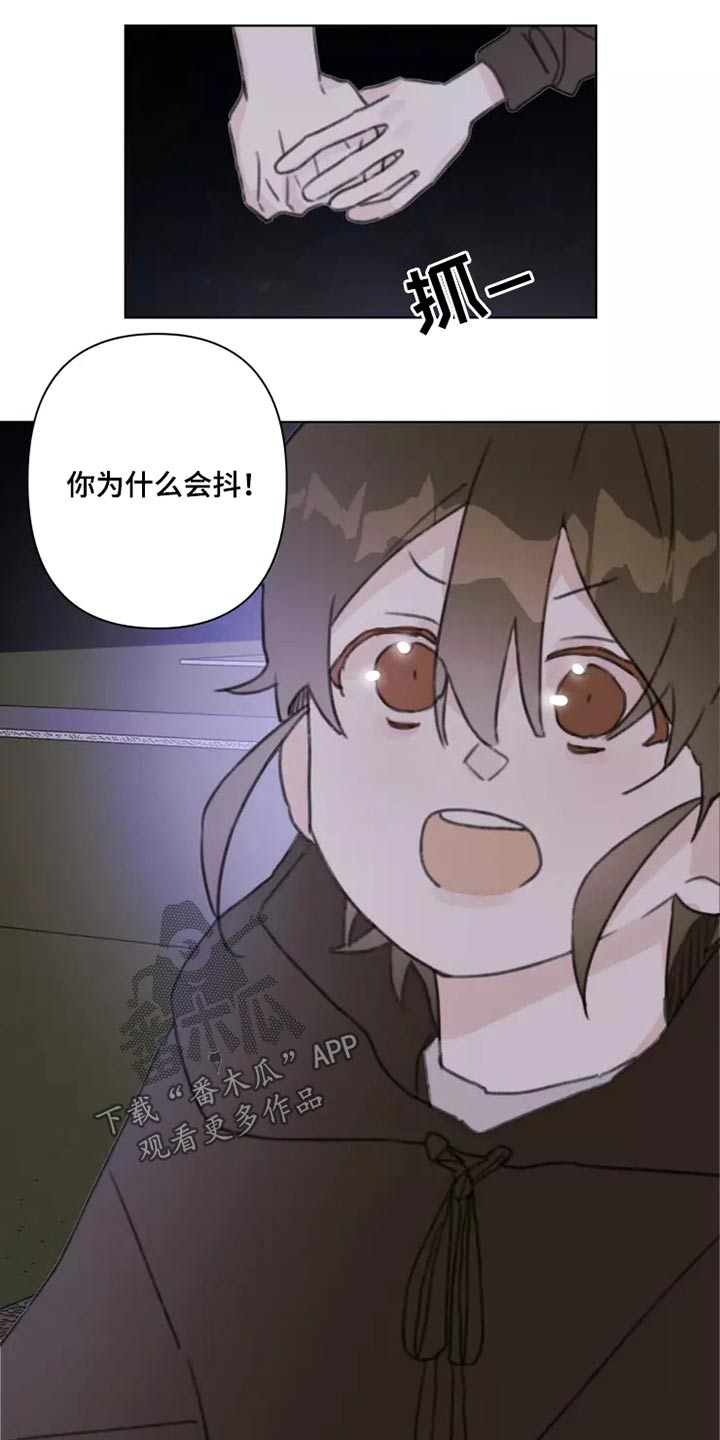 《浪漫的青春》第28章不怪你 第19页