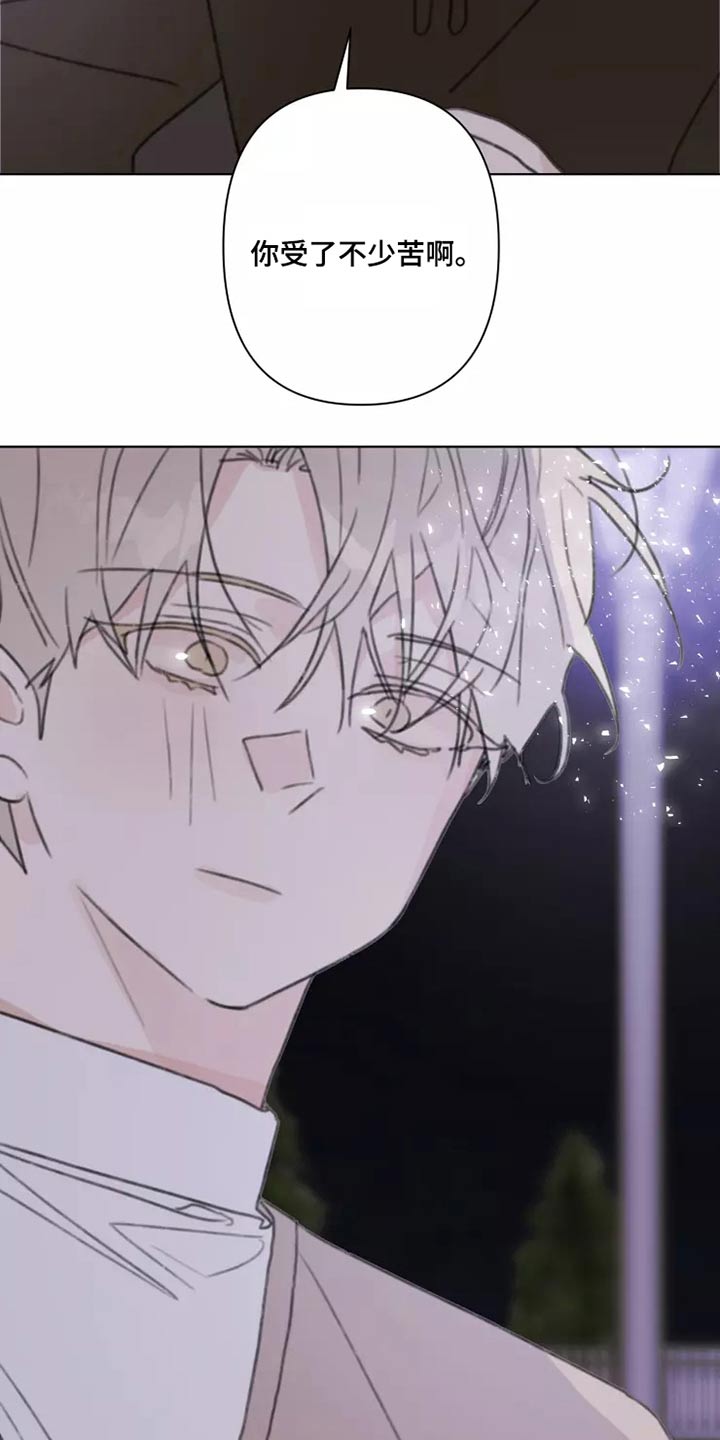 《浪漫的青春》第28章不怪你 第20页
