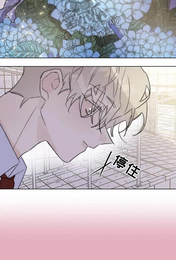 《浪漫的青春》第30章邻居 第12页