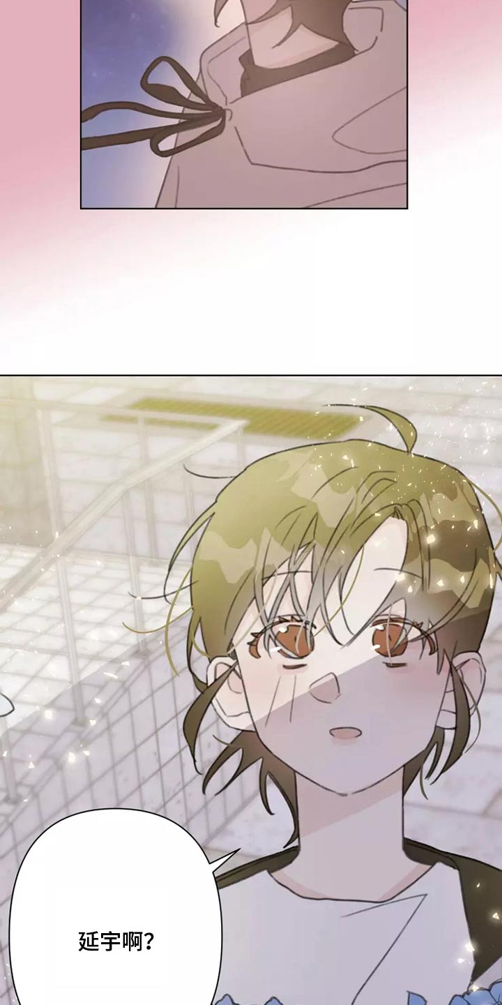 《浪漫的青春》第30章邻居 第15页
