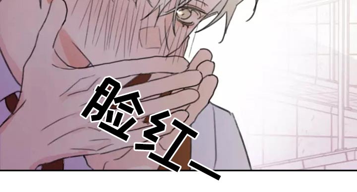 《浪漫的青春》第30章邻居 第17页