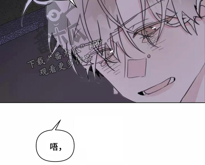 《浪漫的青春》第23章姐姐 第15页