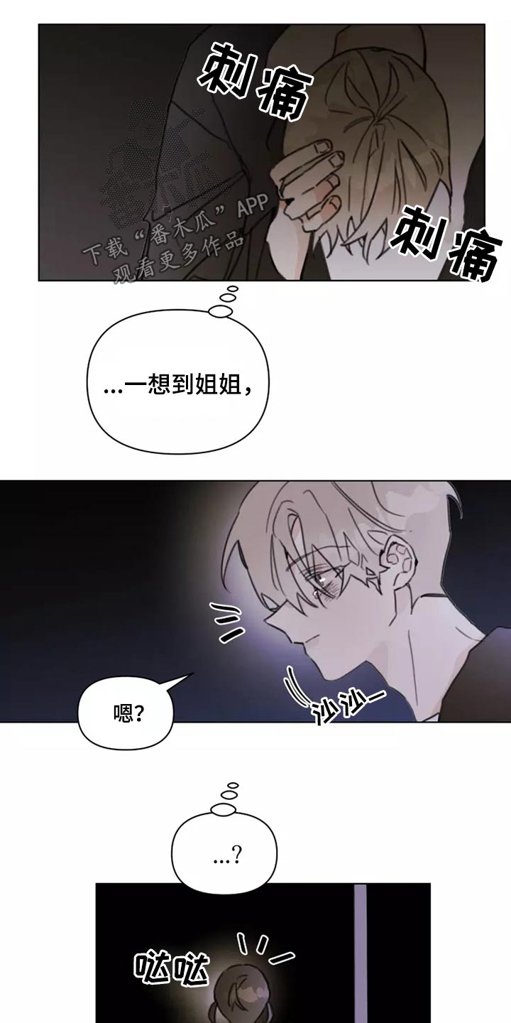 《浪漫的青春》第23章姐姐 第16页