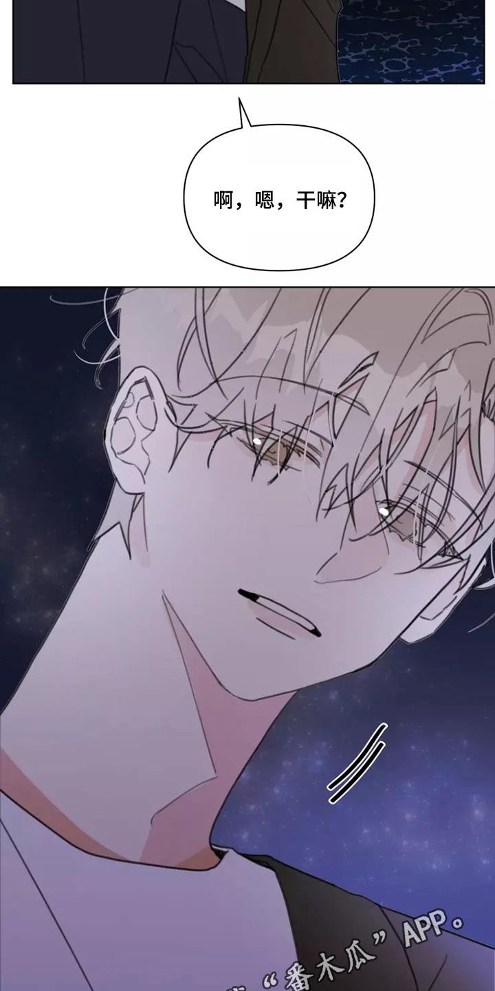 《浪漫的青春》第24章大海 第17页