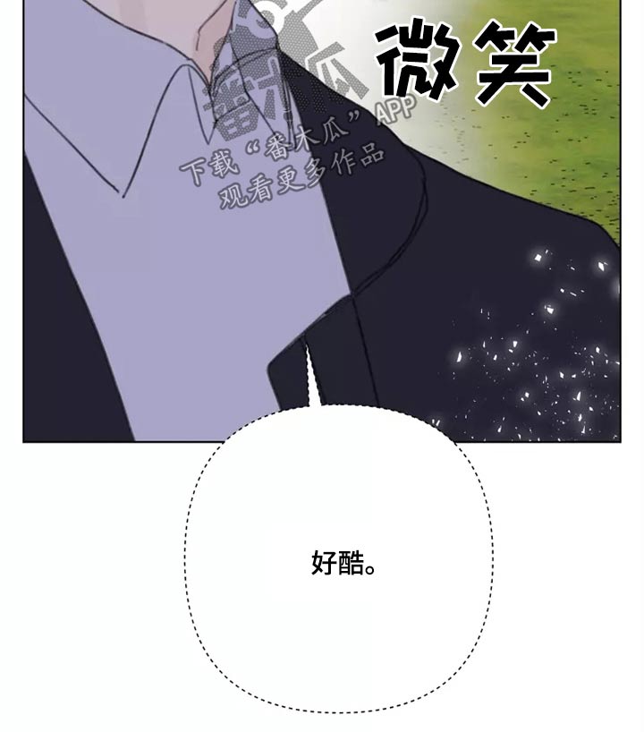 《浪漫的青春》第26章有喜欢的人吗 第10页