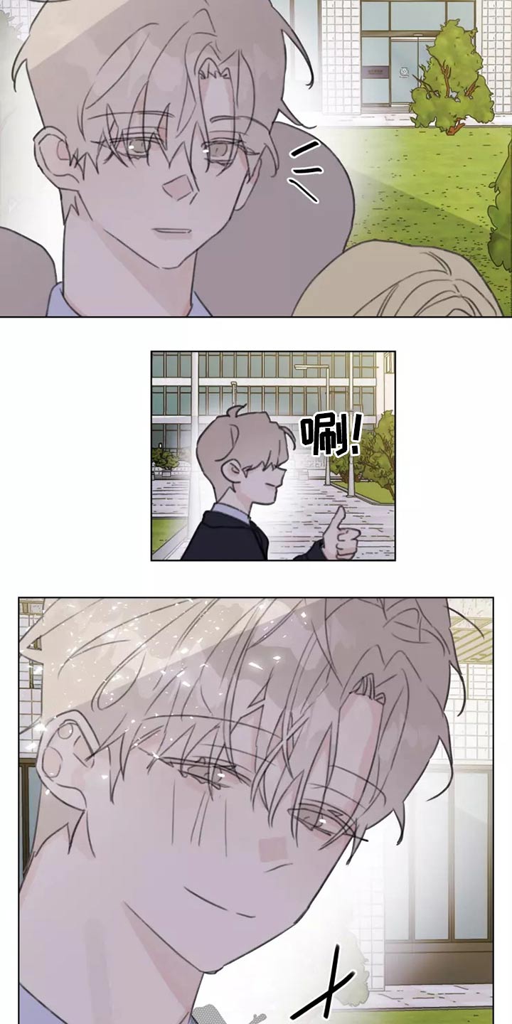 《浪漫的青春》第26章有喜欢的人吗 第9页