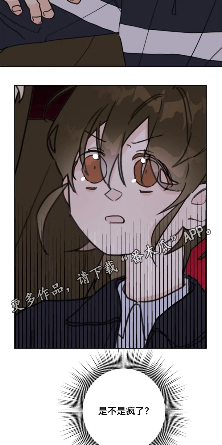 《浪漫的青春》第20章我想回家 第15页