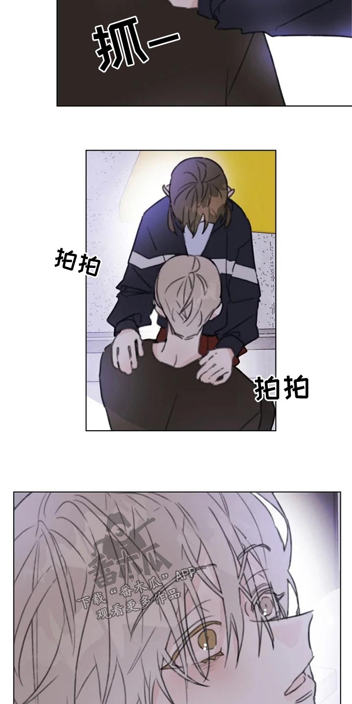 《浪漫的青春》第17章早点休息 第14页
