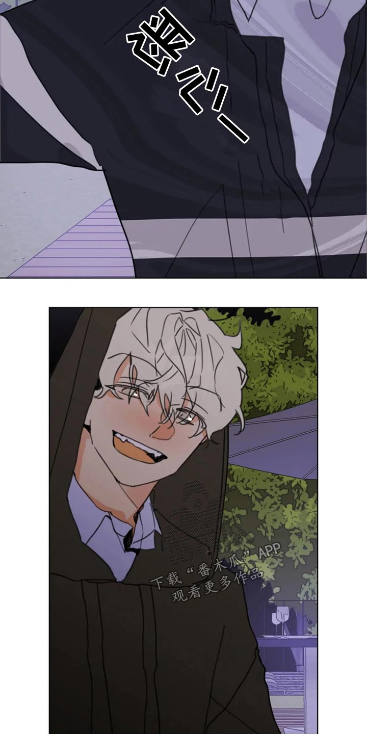 《浪漫的青春》第21章回去 第3页