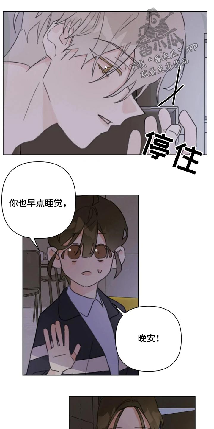 《浪漫的青春》第18章怎么了 第11页