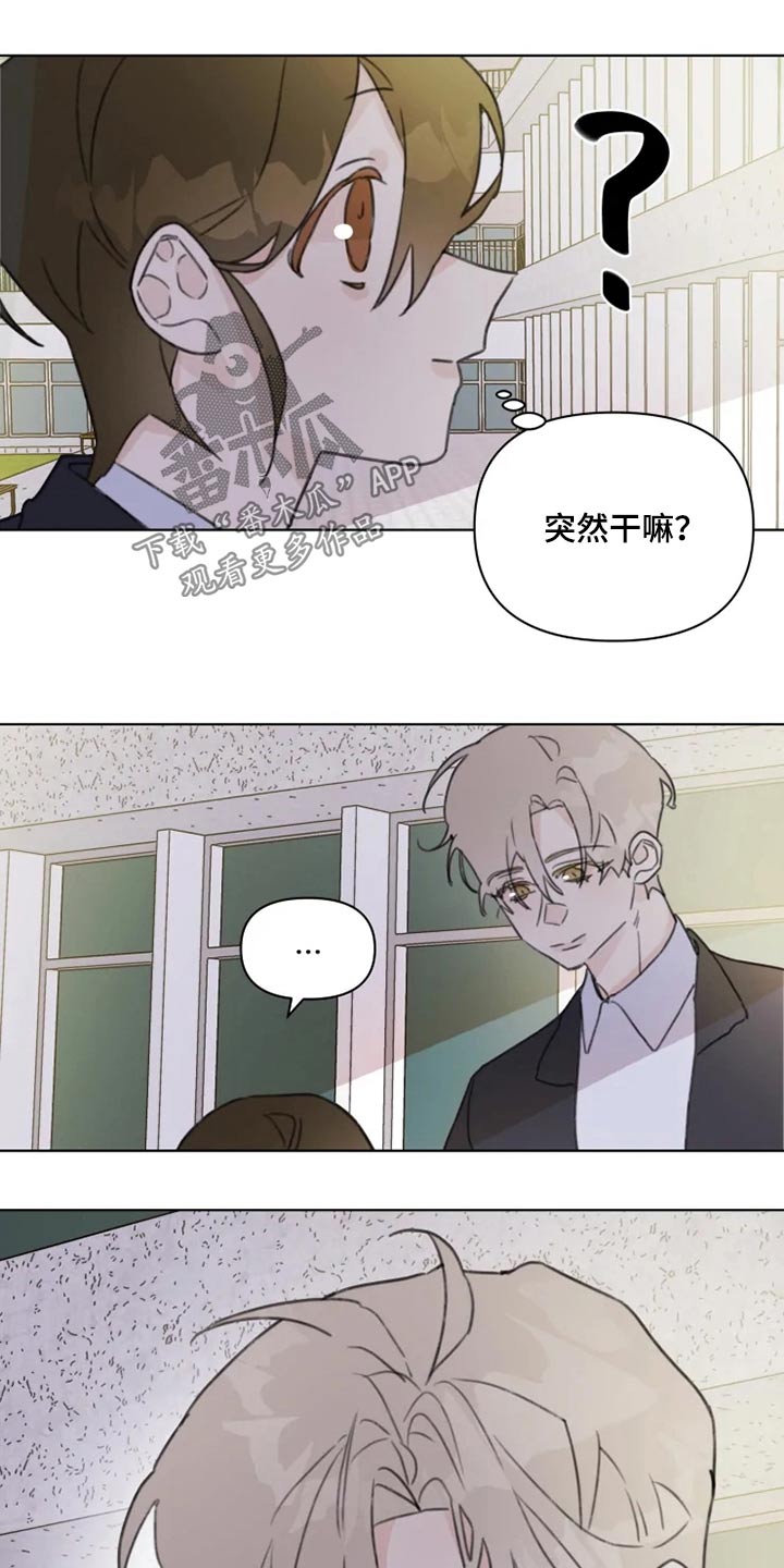 《浪漫的青春》第18章怎么了 第15页