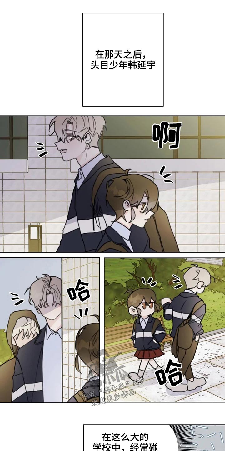 《浪漫的青春》第19章怎么办 第11页