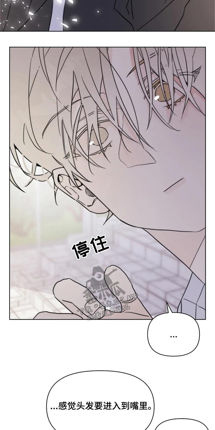 《浪漫的青春》第19章怎么办 第8页