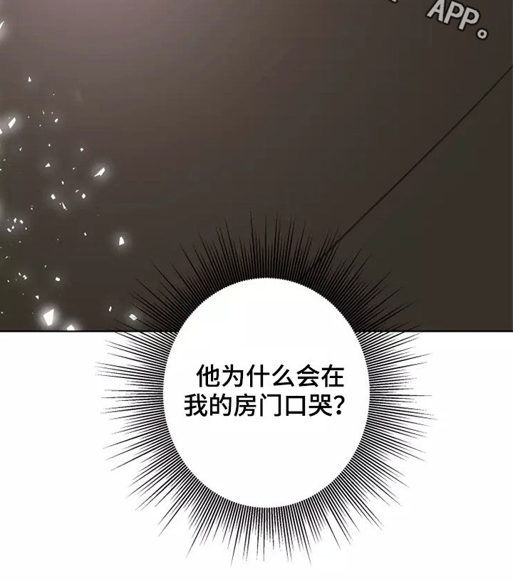 《浪漫的青春》第16章哭泣 第15页