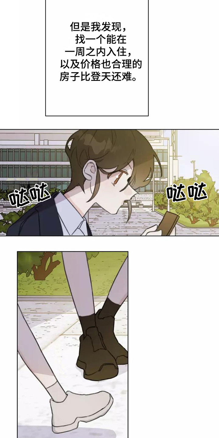 《浪漫的青春》第13章悲惨 第12页