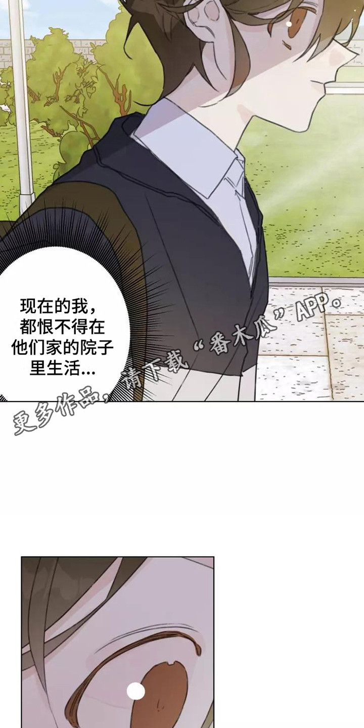 《浪漫的青春》第13章悲惨 第14页