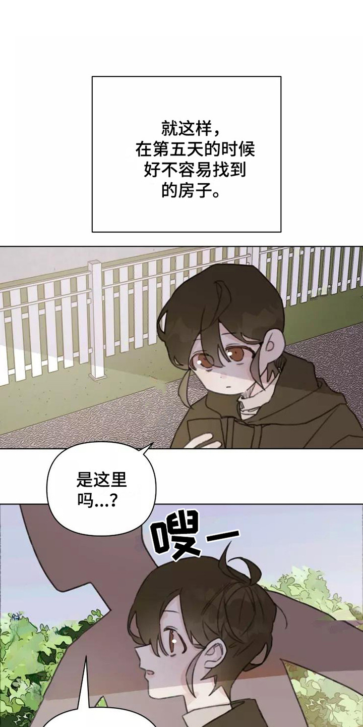 《浪漫的青春》第13章悲惨 第17页