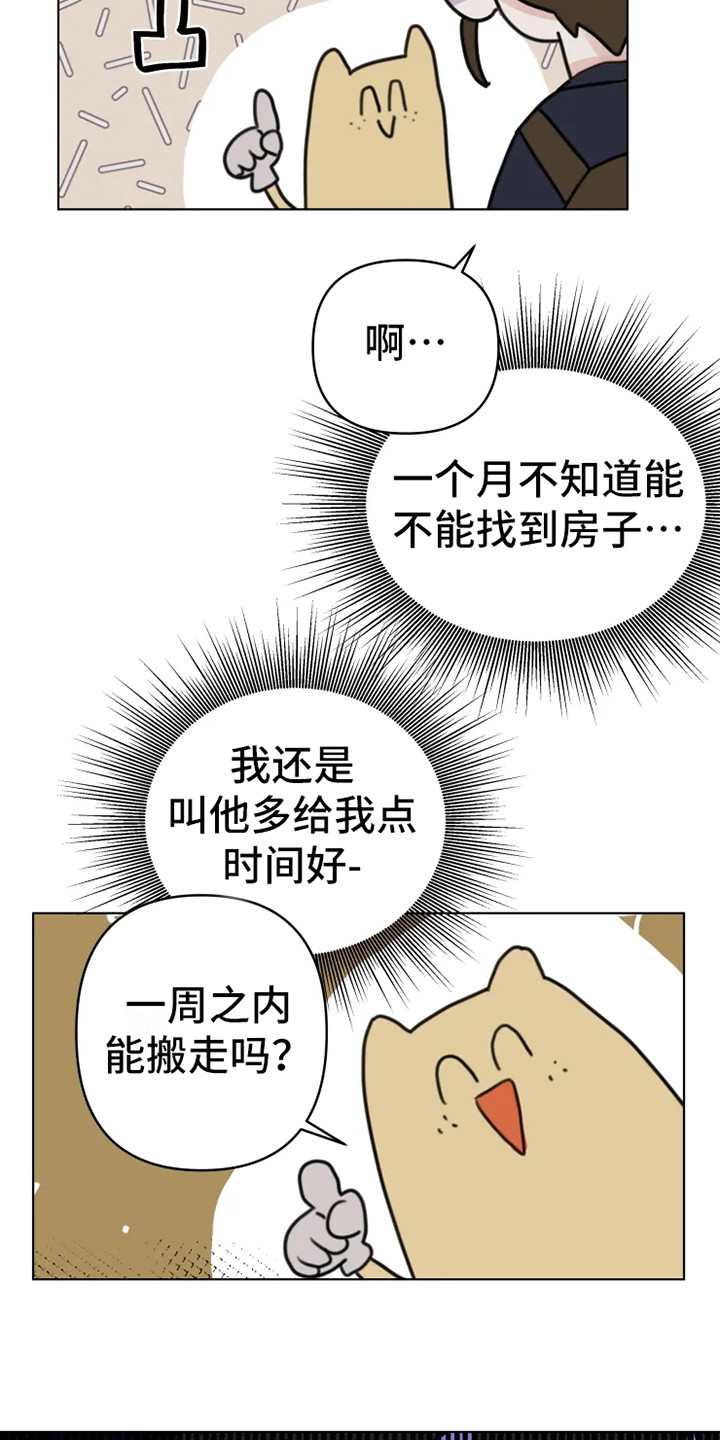 《浪漫的青春》第13章悲惨 第8页