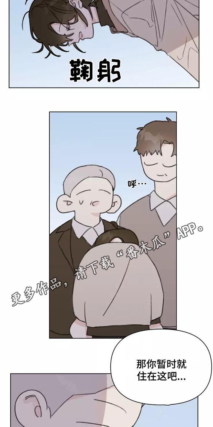《浪漫的青春》第14章不知所措 第5页