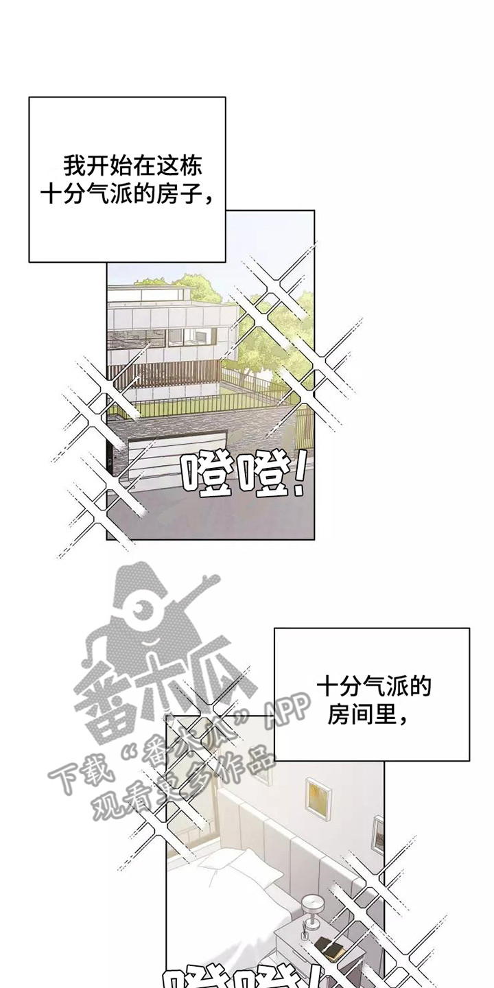 《浪漫的青春》第14章不知所措 第8页