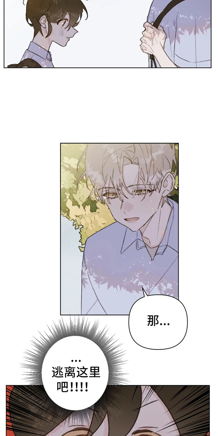 《浪漫的青春》第8章疲惫 第3页
