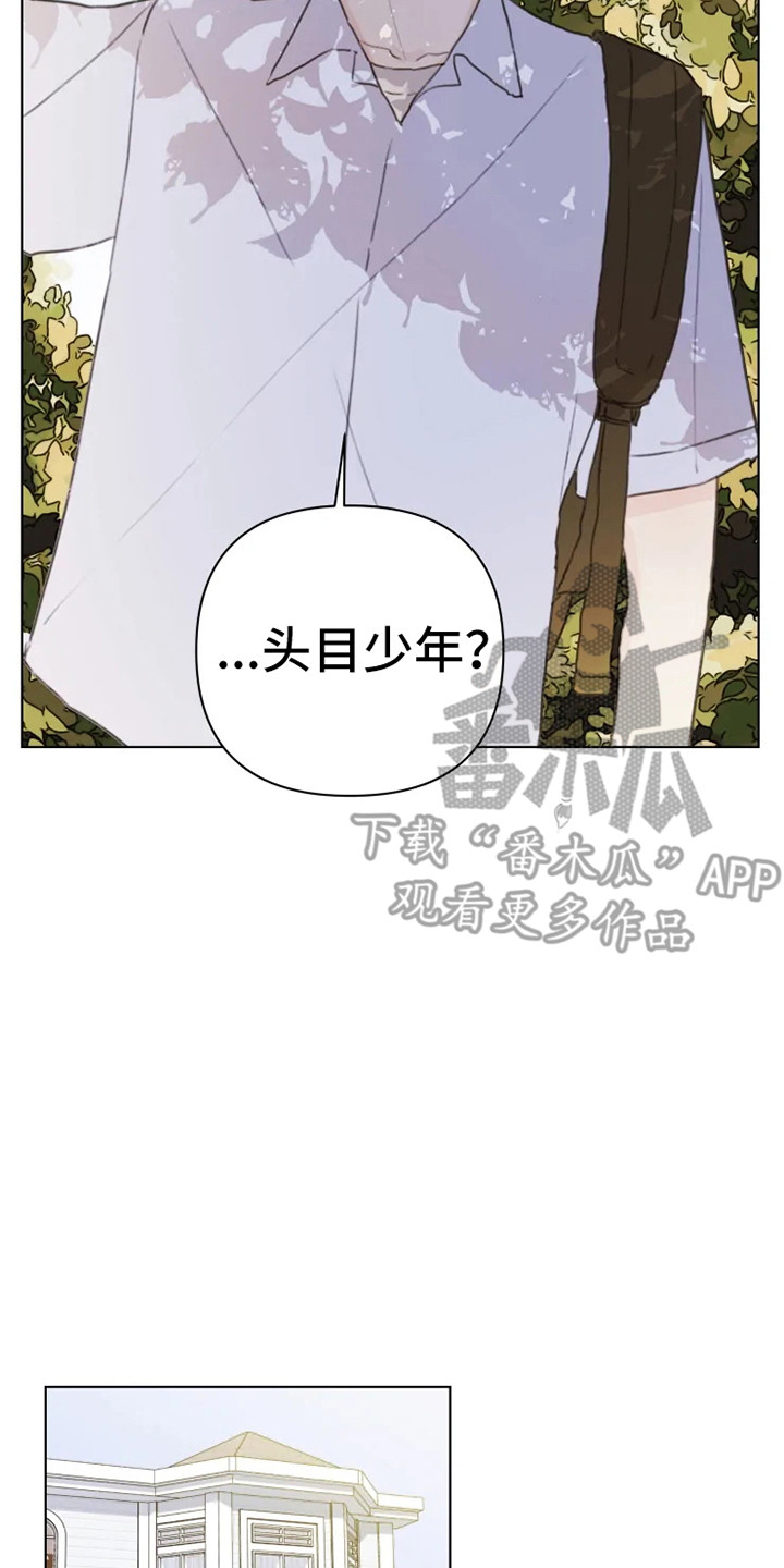 《浪漫的青春》第8章疲惫 第7页