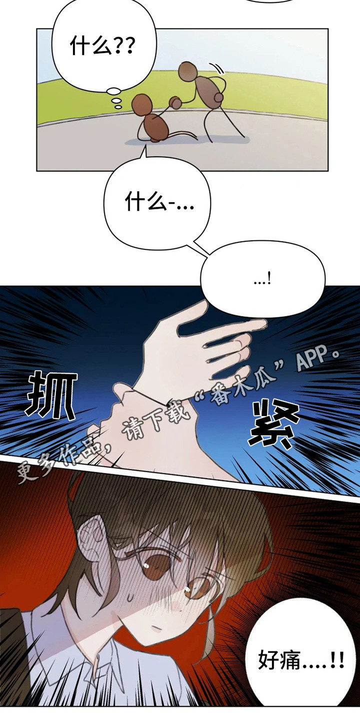《浪漫的青春》第11章忍耐 第5页