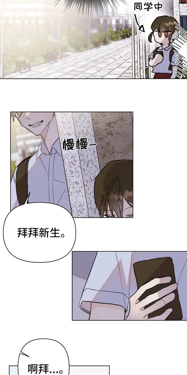 《浪漫的青春》第5章小团体 第11页