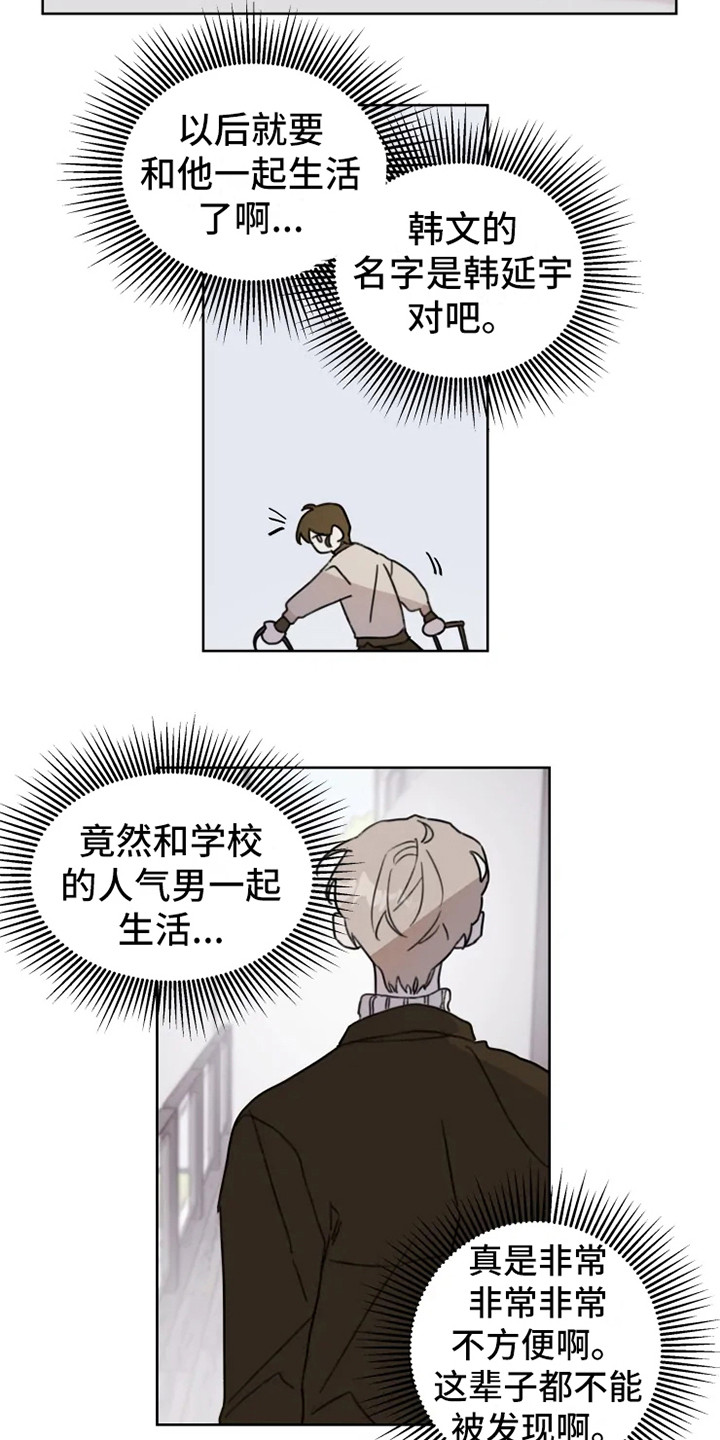 《浪漫的青春》第2章人气男 第11页