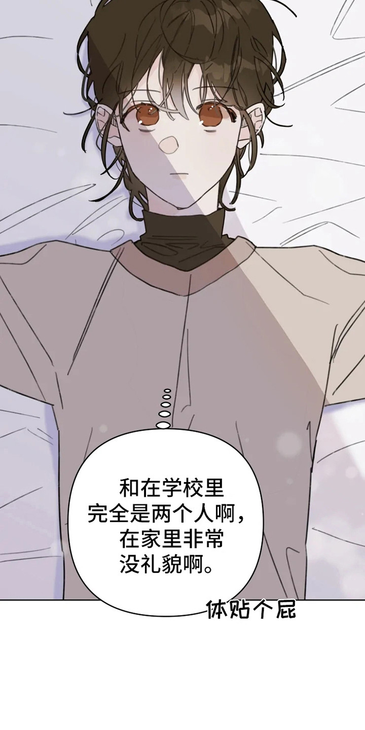 《浪漫的青春》第2章人气男 第18页