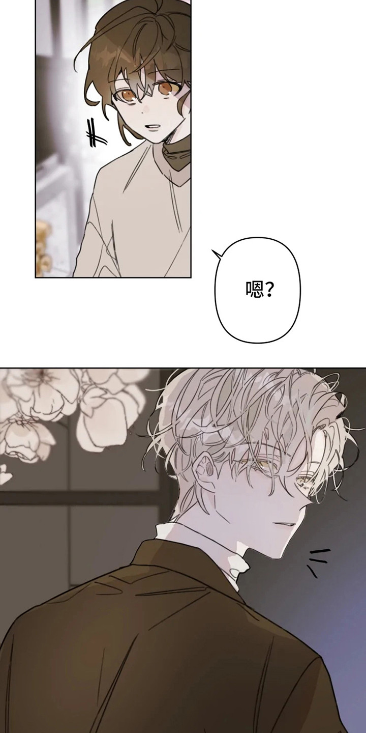 《浪漫的青春》第2章人气男 第3页