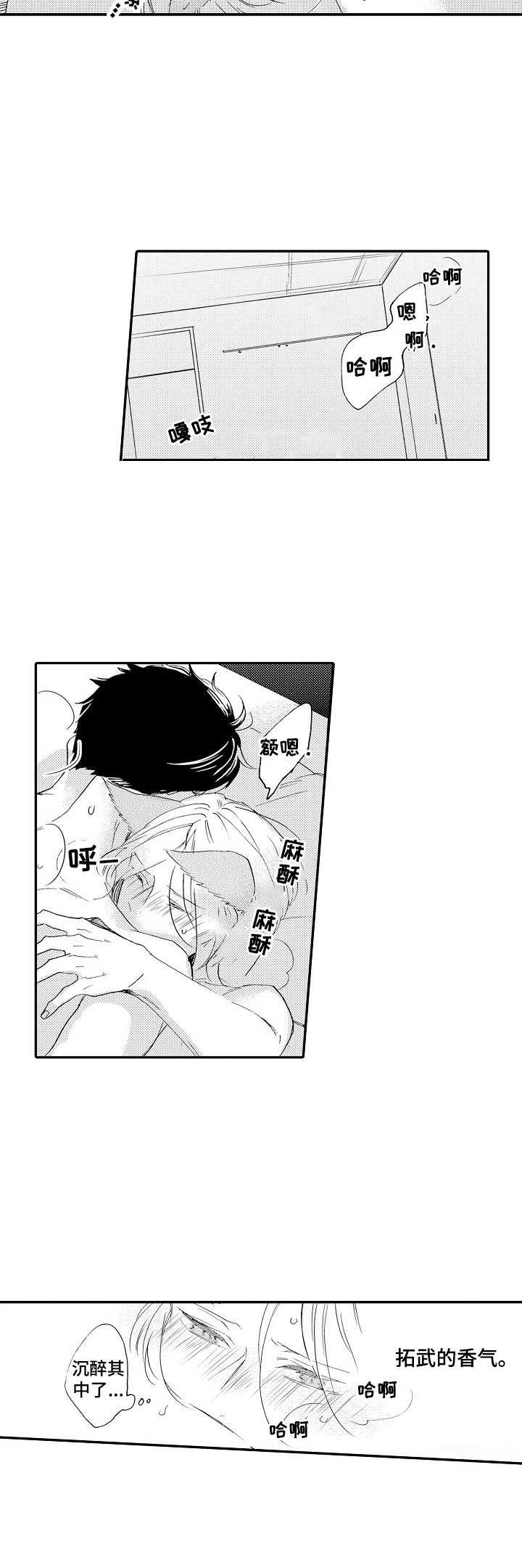 《狼的付出》第18章很特别 第2页