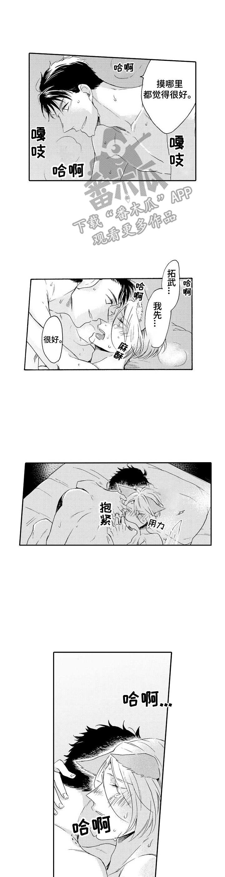 《狼的付出》第18章很特别 第3页