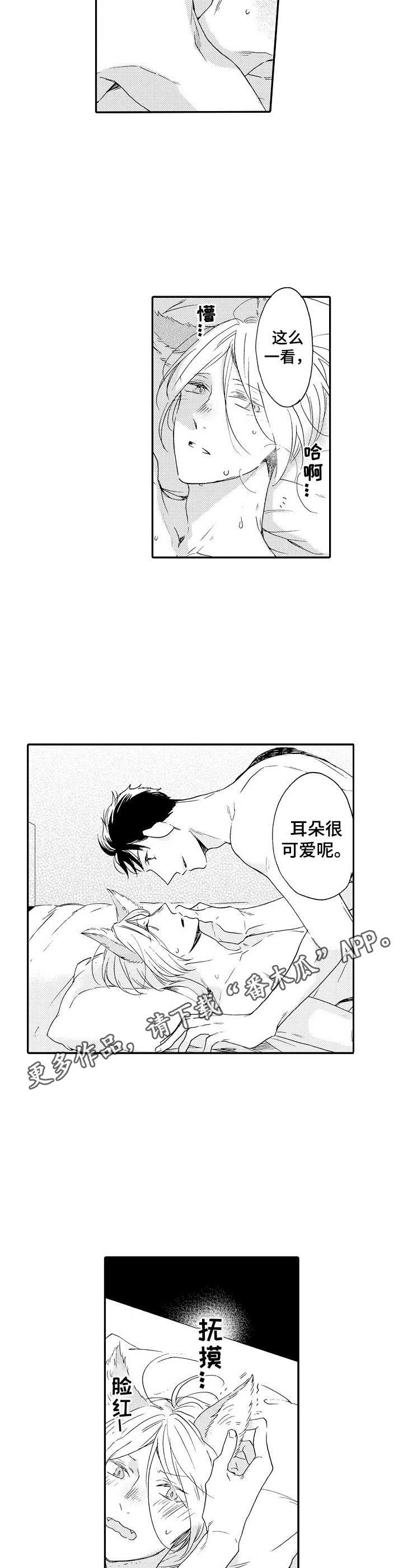 《狼的付出》第18章很特别 第4页