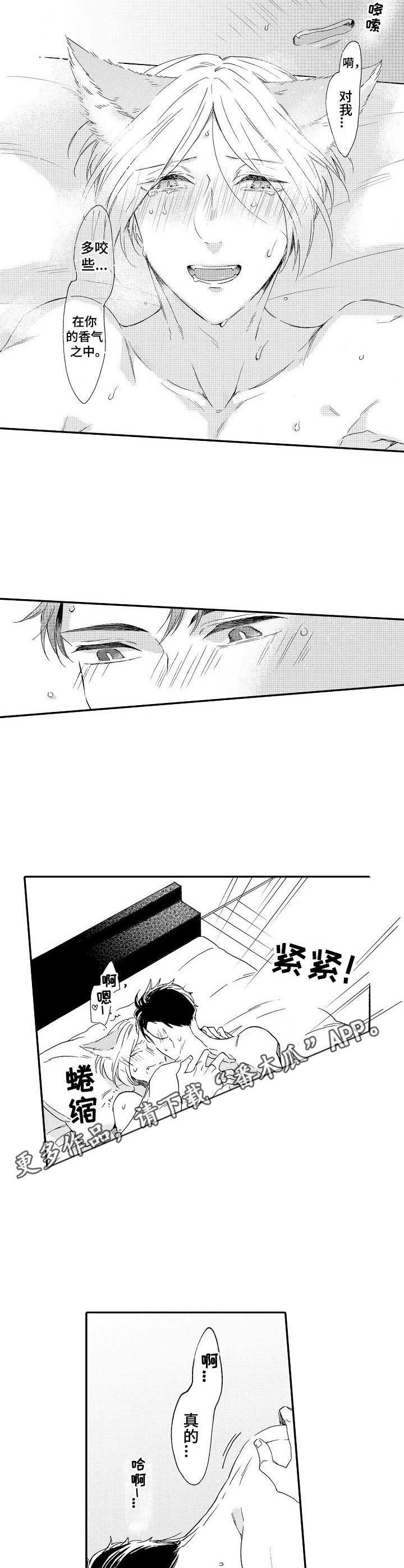 《狼的付出》第18章很特别 第6页