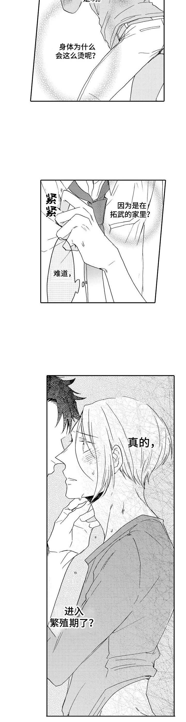 《狼的付出》第11章喝醉了 第10页