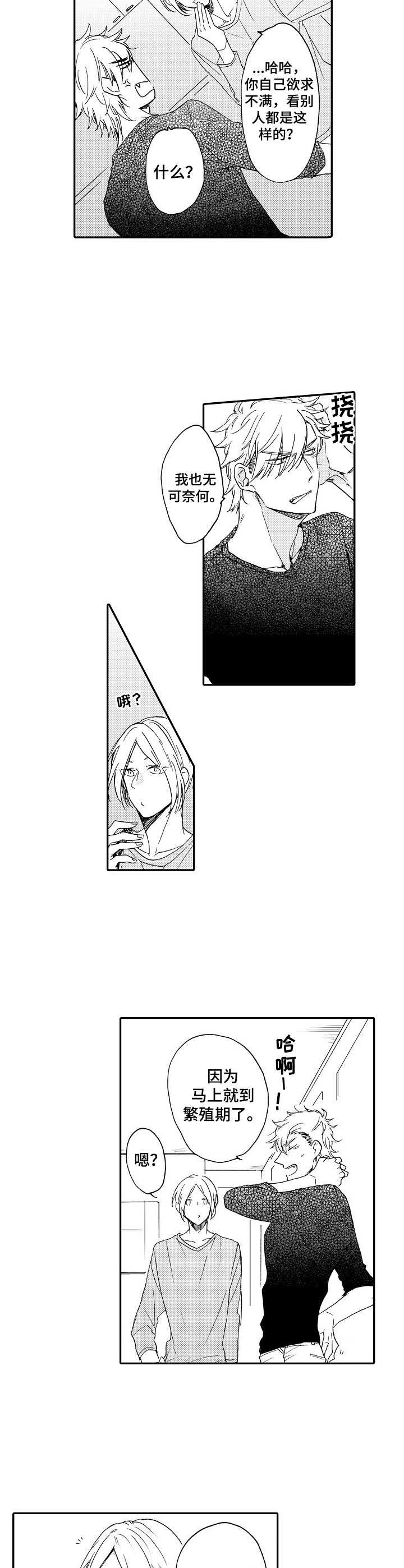 《狼的付出》第9章提点 第8页