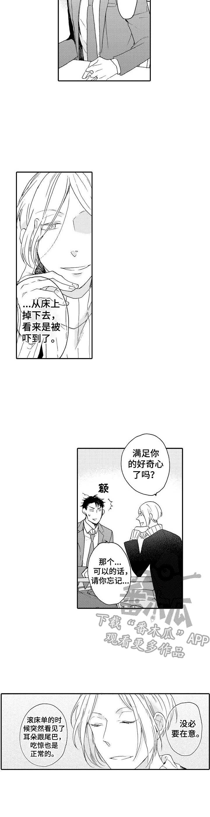 《狼的付出》第6章解释 第7页