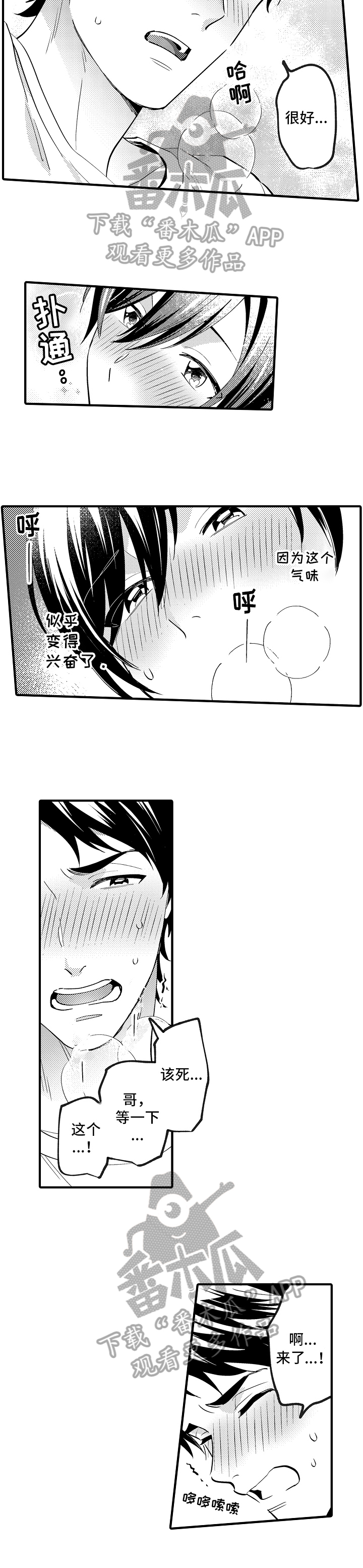 《哥哥的作为》第39章重要的事 第6页