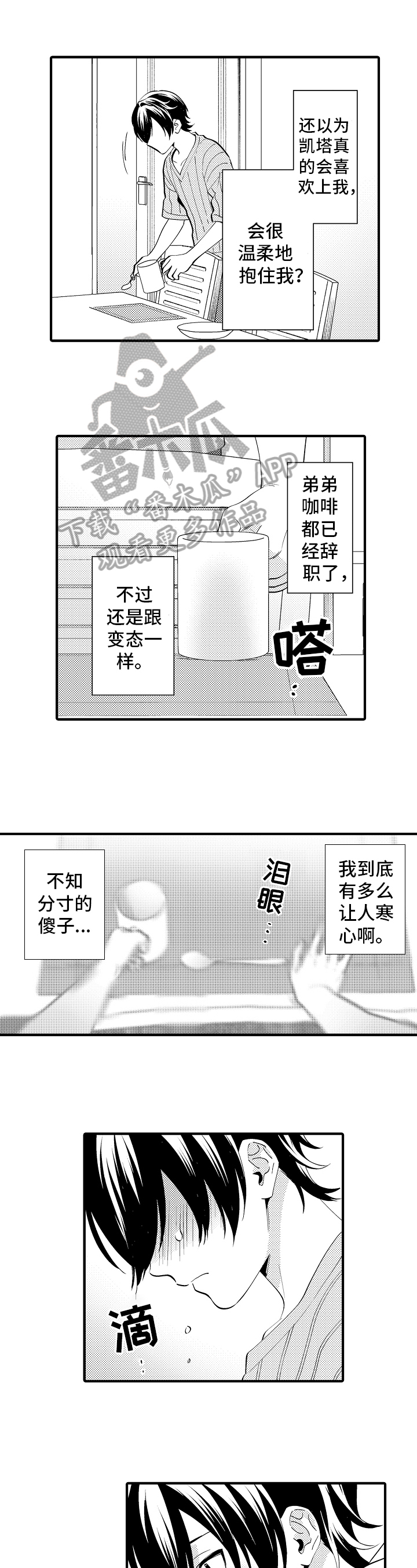 《哥哥的作为》第35章哭泣 第11页