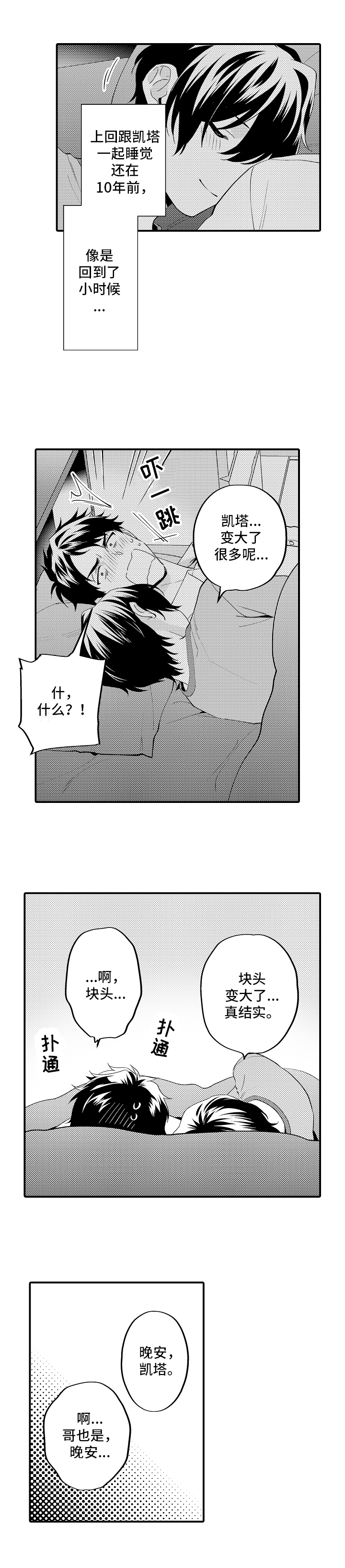 《哥哥的作为》第20章心意 第2页