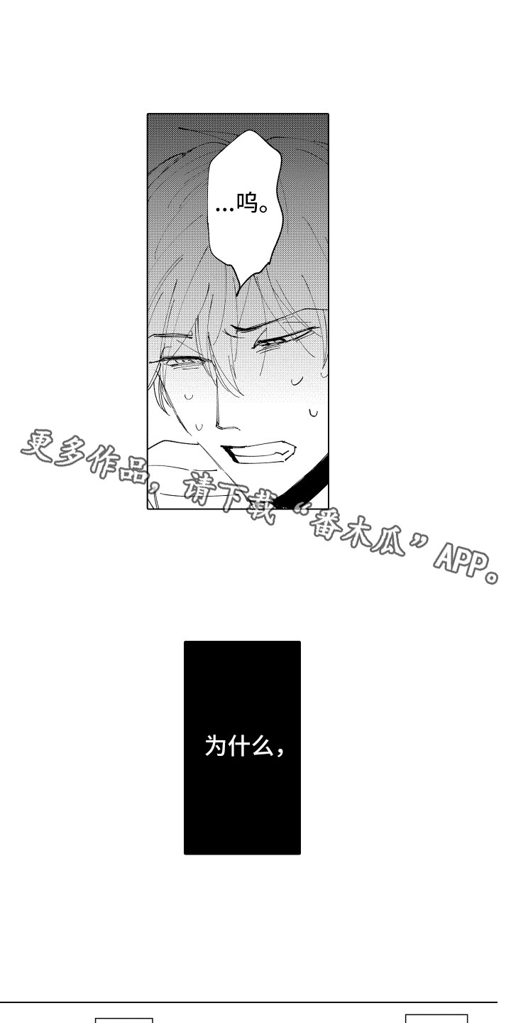 《波涛之声》第22章无法忘记 第5页