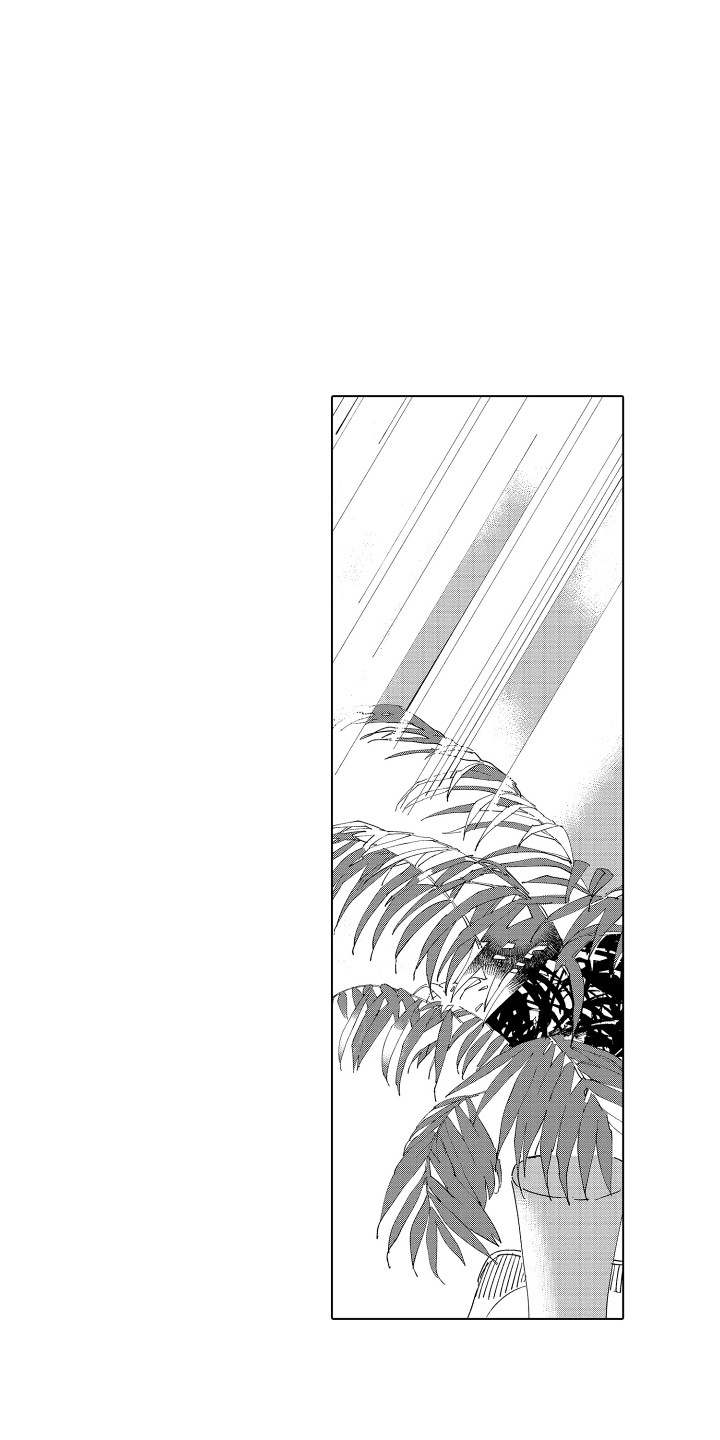 《波涛之声》第21章被打击 第12页