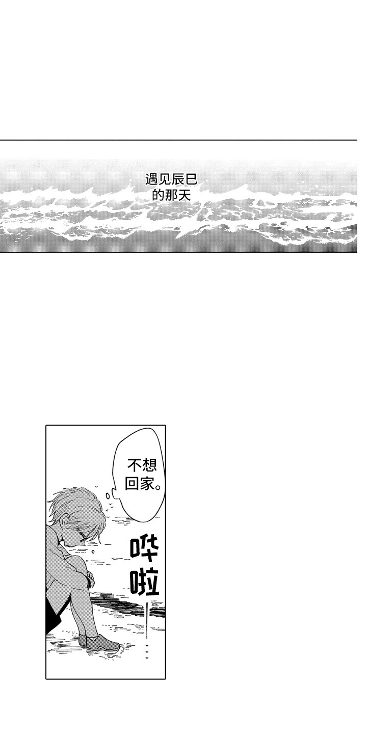 《波涛之声》第20章心动 第1页