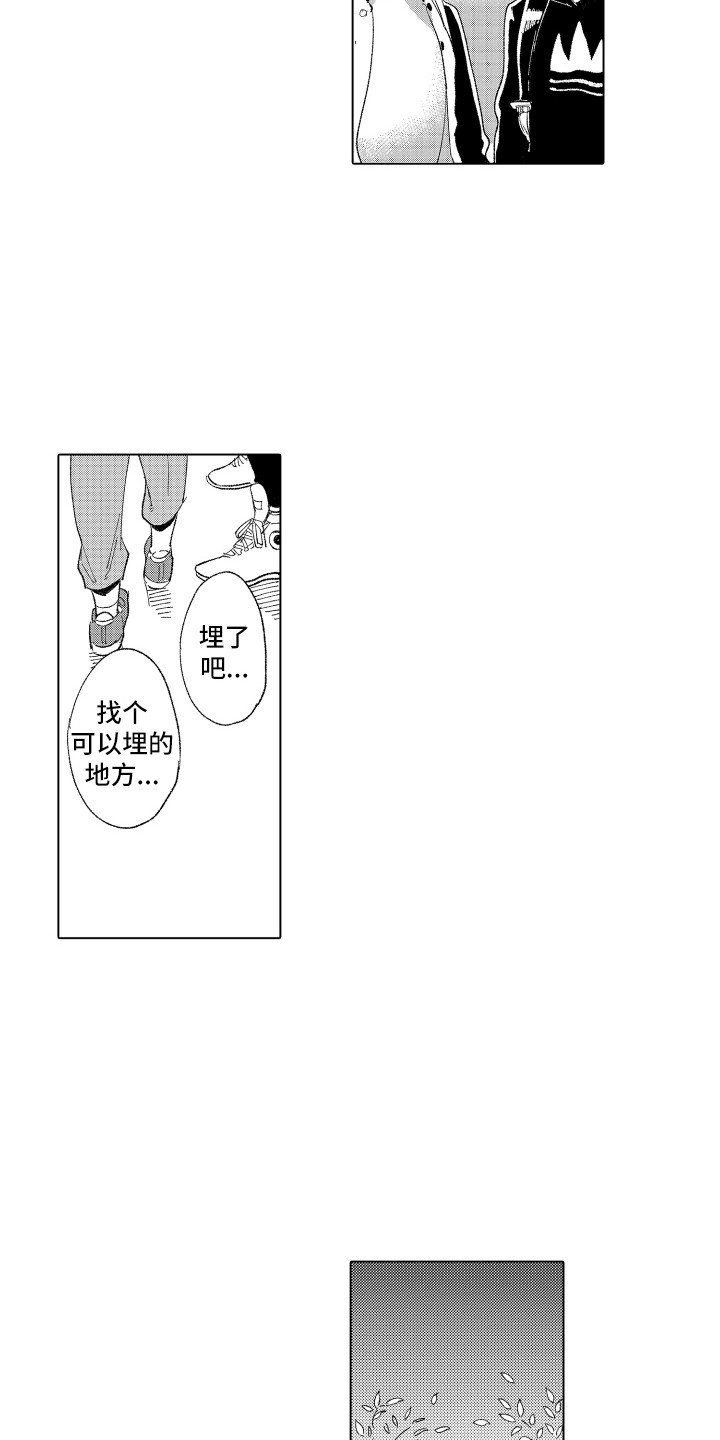《波涛之声》第8章秘密 第12页
