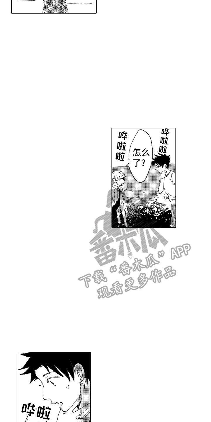《波涛之声》第8章秘密 第2页